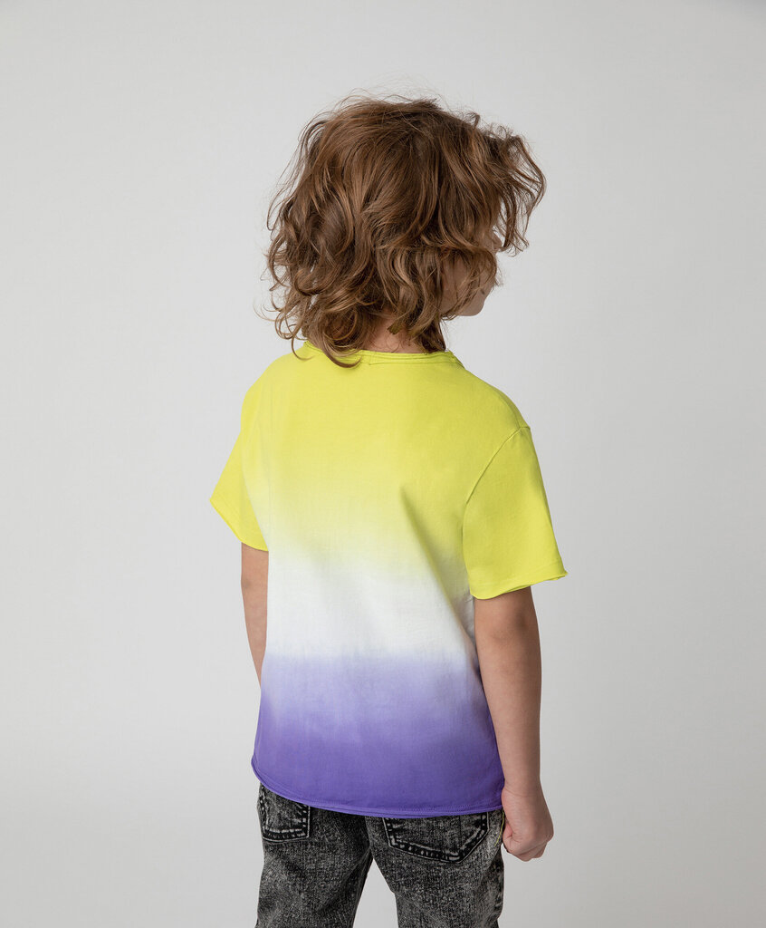 Gulliver marškinėliai berniukams, įvairių spalvų kaina ir informacija | Marškinėliai berniukams | pigu.lt