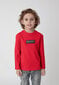 Gulliver marškinėliai ilgomis rankovėmis berniukams, juodi kaina ir informacija | Marškinėliai berniukams | pigu.lt
