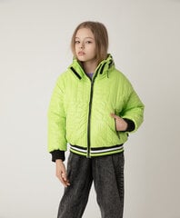 Куртка демисезонная салатовая с капюшоном для девочек «Gulliver», 134*68*60 cm цена и информация | Куртки, пальто для девочек | pigu.lt