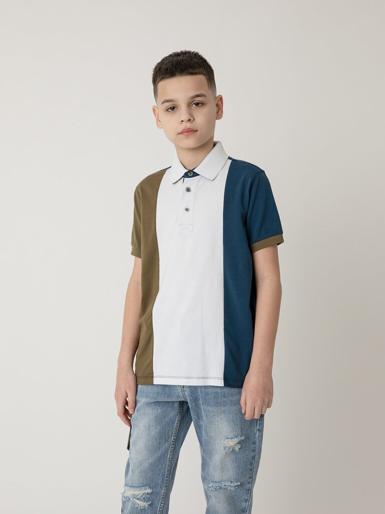 Gulliver polo marškinėliai su spaudiniu berniukams kaina ir informacija | Marškinėliai berniukams | pigu.lt