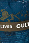 Gulliver medvilninė panama su spaudiniu berniukams kaina ir informacija | Kepurės, pirštinės, šalikai berniukams | pigu.lt