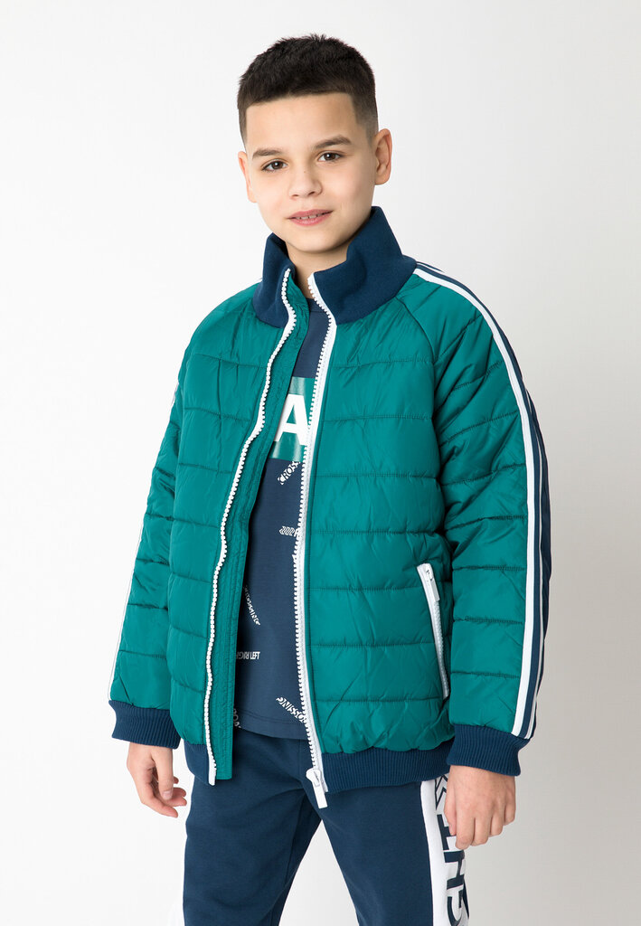 Gulliver demisezoninė striukė berniukams, žalia kaina ir informacija | Žiemos drabužiai vaikams | pigu.lt