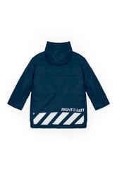 Куртка демисезонная синяя с капюшоном для мальчиков Gulliver, 134*68*60 cm цена и информация | Зимняя одежда для детей | pigu.lt