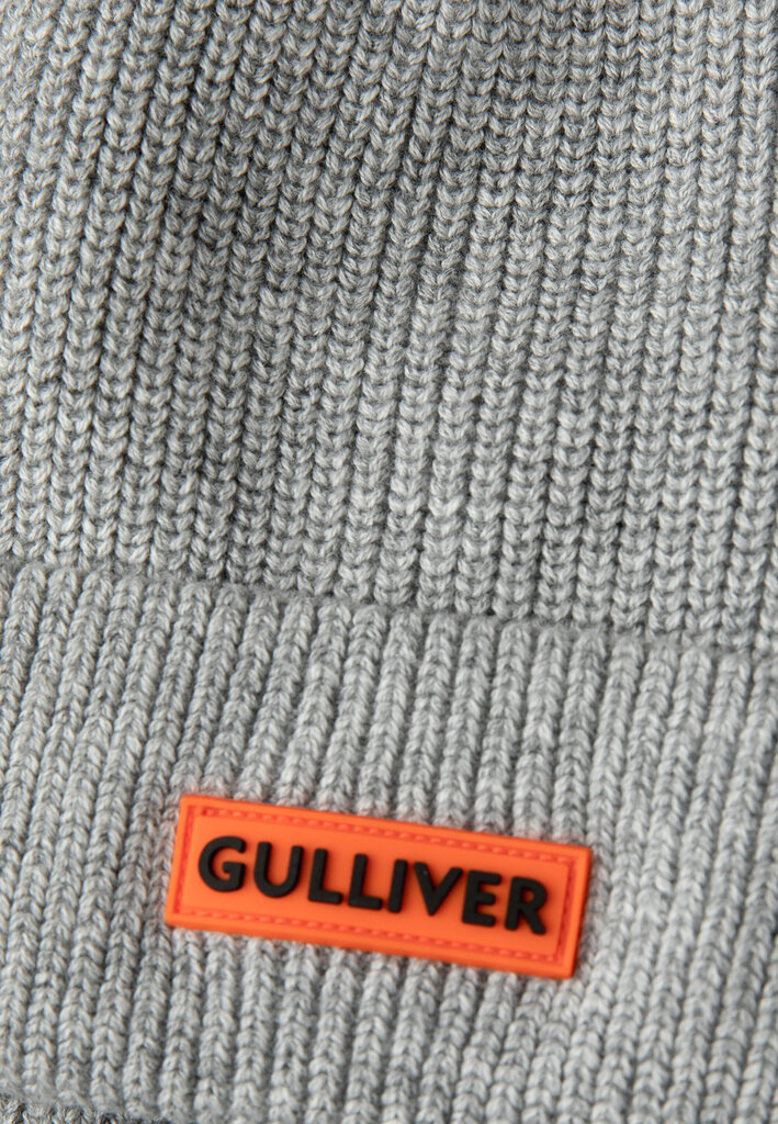 Gulliver megzta pilka kepurė su pamušalu berniukams kaina ir informacija | Kepurės, pirštinės, šalikai berniukams | pigu.lt