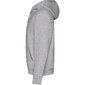 Džemperis su gobtuvu Capucha, pilkas kaina ir informacija | Megztiniai vyrams | pigu.lt