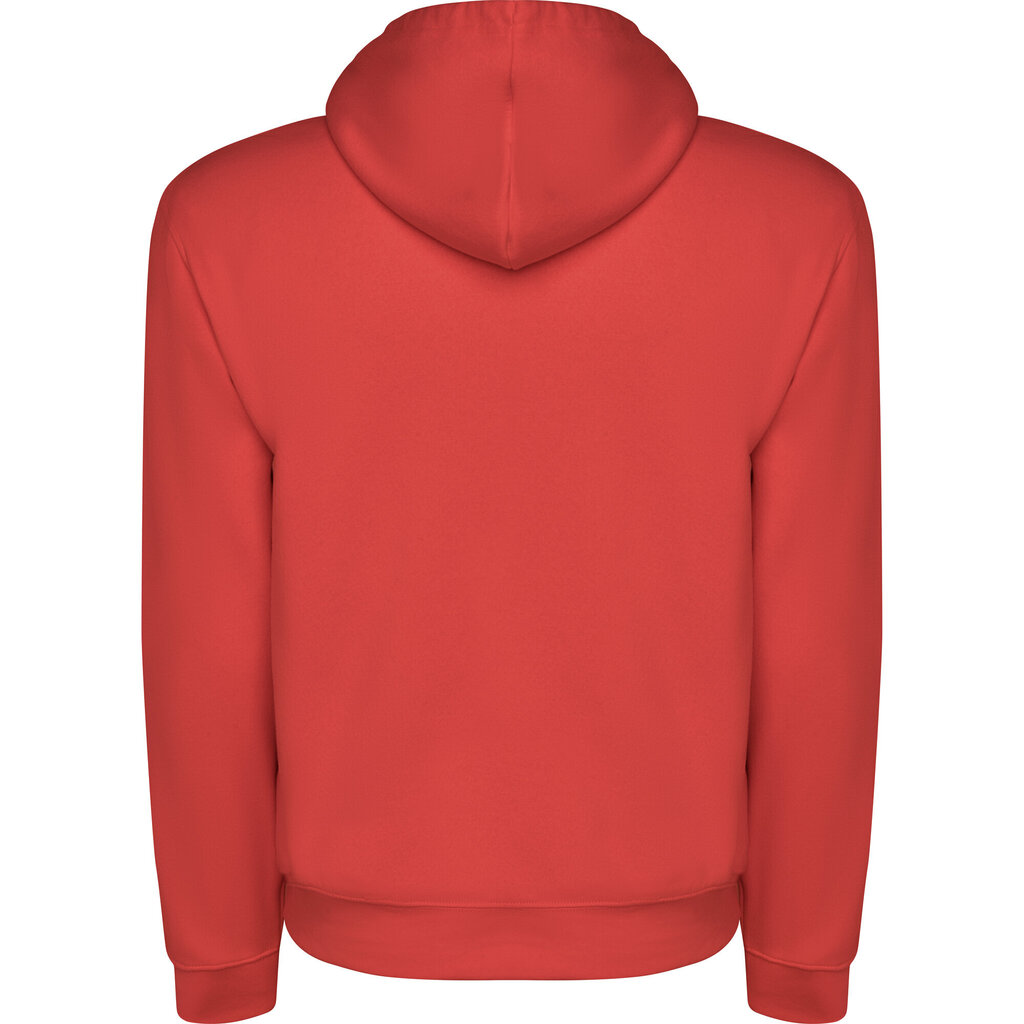 Džemperis su gobtuvu Capucha, raudonas kaina ir informacija | Megztiniai vyrams | pigu.lt