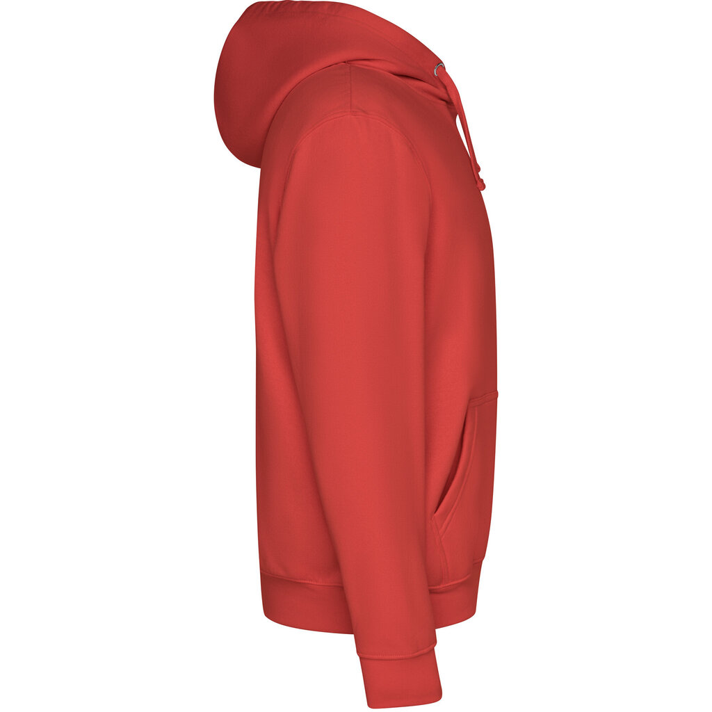 Džemperis su gobtuvu Capucha, raudonas цена и информация | Megztiniai vyrams | pigu.lt