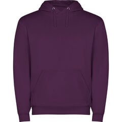 Džemperis su gobtuvu Capucha, violetinis kaina ir informacija | Megztiniai vyrams | pigu.lt