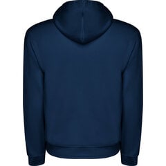 Džemperis su gobtuvu Capucha, mėlynas kaina ir informacija | Megztiniai vyrams | pigu.lt