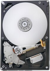 Fujitsu S26462-F3500-L100 kaina ir informacija | Vidiniai kietieji diskai (HDD, SSD, Hybrid) | pigu.lt