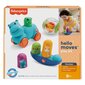 Žaislų rinkinys Fisher-Price HFJ94 kaina ir informacija | Žaislai kūdikiams | pigu.lt