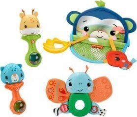 Fisher-Price игровой комплект для возраста 3+ месяцев HFJ92 цена и информация | Игрушки для малышей | pigu.lt