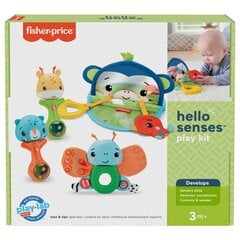 Fisher-Price игровой комплект для возраста 3+ месяцев HFJ92 цена и информация | Игрушки для малышей | pigu.lt