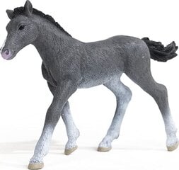 Фигурка лошади Schleich 465217, серая цена и информация | Игрушки для девочек | pigu.lt