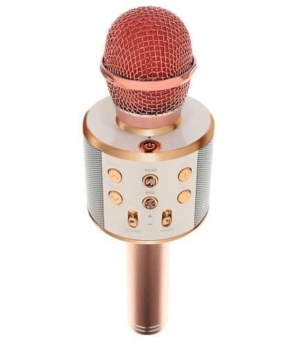 Karaoke mikrofonas Goodbuy цена и информация | Mikrofonai | pigu.lt
