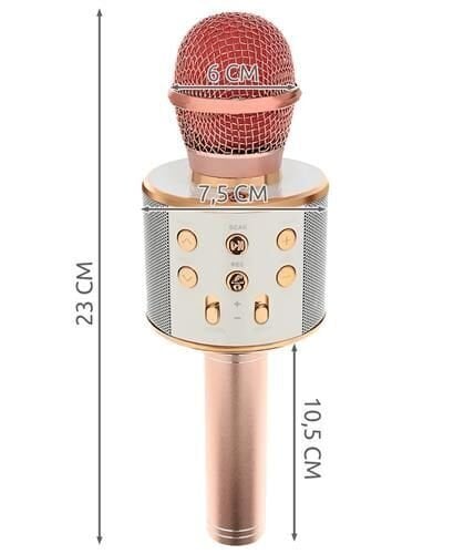 Karaoke mikrofonas Goodbuy цена и информация | Mikrofonai | pigu.lt