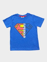 Marškinėliai berniukams Superman kaina ir informacija | Marškinėliai berniukams | pigu.lt