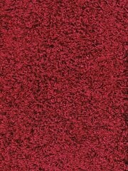 Narma kilimas Spice 120x160 cm kaina ir informacija | Kilimai | pigu.lt