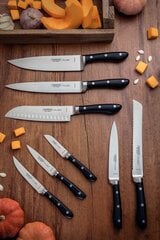Tramontina Prochef virtuvinis šefo peilis 8" kaina ir informacija | Peiliai ir jų priedai | pigu.lt
