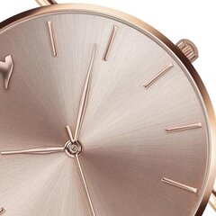 Moteriškas laikrodis Emily Westwood LAM-3218R kaina ir informacija | Moteriški laikrodžiai | pigu.lt