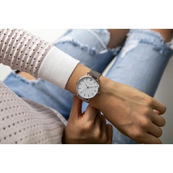 Laikrodis moterims Emily Westwood, sidabrinis kaina ir informacija | Moteriški laikrodžiai | pigu.lt