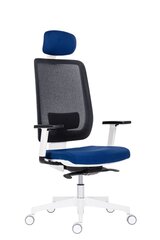 Biuro kėdė Wood Garden Syn Eclipse Net su galvos atrama, pilka/mėlyna kaina ir informacija | Biuro kėdės | pigu.lt