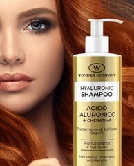 Šampūnas su hialurono rūgštimi ir keratinu LR Wonder, 250 ml kaina ir informacija | Šampūnai | pigu.lt