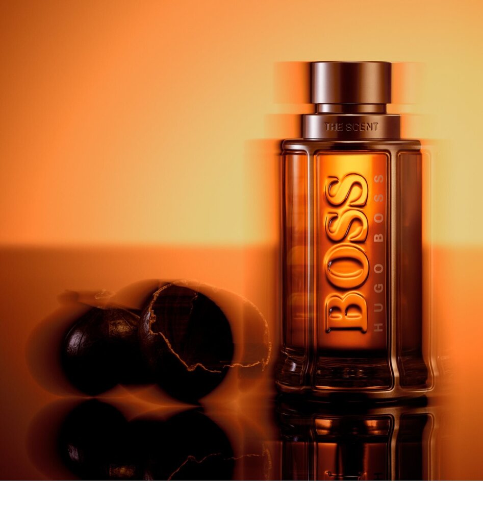 Kvapusis vanduo Hugo Boss BOSS The Scent Le Parfum EDP vyrams 50 ml kaina ir informacija | Kvepalai vyrams | pigu.lt