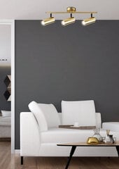 Candellux Colly потолочный светильник 93-01733 цена и информация | Потолочные светильники | pigu.lt