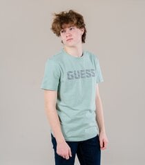 Marškinėliai vyrams Guess, žali kaina ir informacija | Vyriški marškinėliai | pigu.lt
