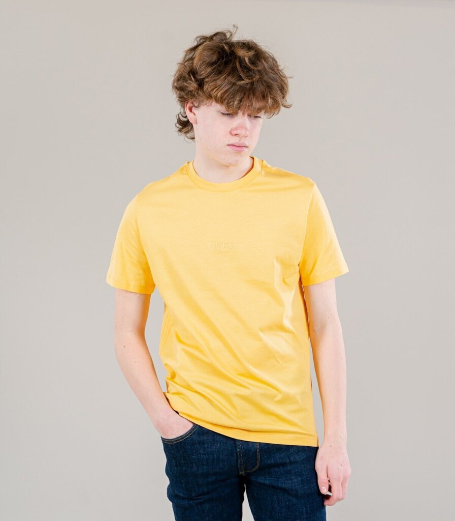 Marškinėliai vyrams Guess, geltoni цена и информация | Vyriški marškinėliai | pigu.lt
