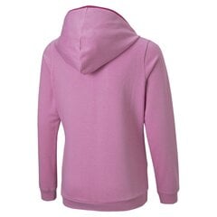 Puma sportinis džemperis mergaitėms, 4064535474442, violetinis kaina ir informacija | Megztiniai, bluzonai, švarkai mergaitėms | pigu.lt