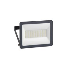 LED lauko prožektorius Mureva 30W цена и информация | Уличные светильники | pigu.lt