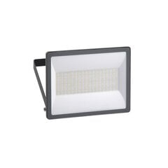 LED lauko prožektorius Mureva 100W цена и информация | Уличные светильники | pigu.lt