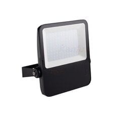 LED lauko prožektorius FL Agor 100W цена и информация | Уличные светильники | pigu.lt