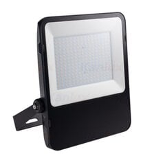 LED lauko šviestuvas FL Agor 200W цена и информация | Уличные светильники | pigu.lt