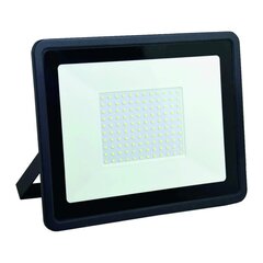 LED lauko prožektorius 20W 1800lm kaina ir informacija | Lauko šviestuvai | pigu.lt