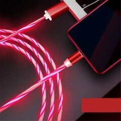Magnetinis LED kabelis - laidas 3in1, raudonas kaina ir informacija | Kabeliai ir laidai | pigu.lt