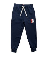 Спортивные штаны для мальчиков цена и информация | Спортивные штаны для мальчиков | pigu.lt