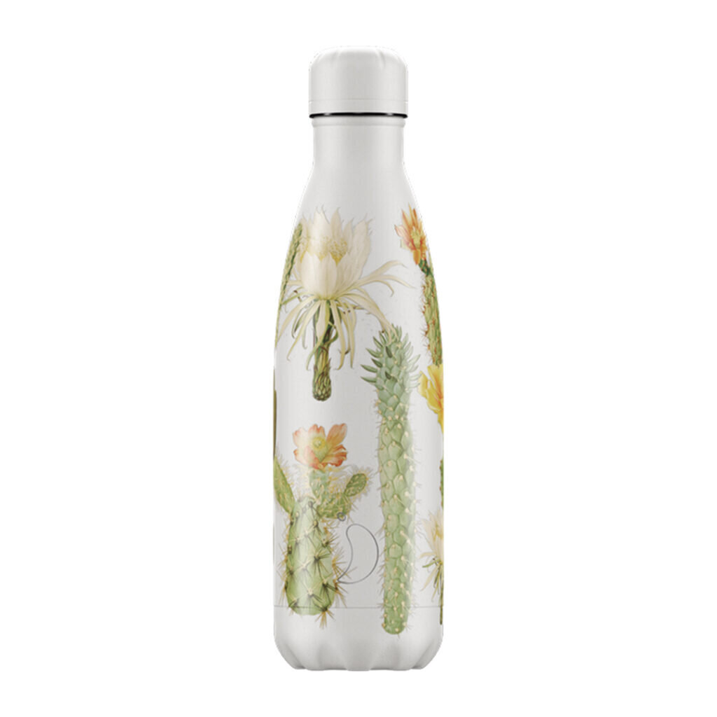 Termosas butelis Chilly's Bottle Botanical Cacti 500ml kaina ir informacija | Termosai, termopuodeliai | pigu.lt