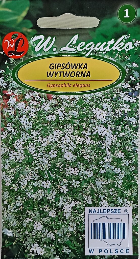 Grakščioji guboja, baltas, 2 vnt цена и информация | Gėlių sėklos | pigu.lt