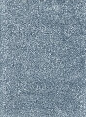 Narma kilimas NOBLE™ blue, 300x400 cm kaina ir informacija | Kilimai | pigu.lt