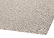 Narma kilimas Spice, beige, 67 x 133 cm kaina ir informacija | Kilimai | pigu.lt