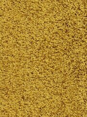 Narma kilimas Spice, yellow, 300 x 400 cm kaina ir informacija | Kilimai | pigu.lt