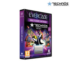 Blaze Evercade Technos Arcade Cartridge 1 - EFIGS цена и информация | Компьютерные игры | pigu.lt