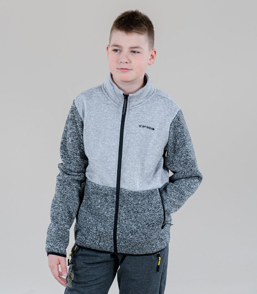 Icepeak megztinis berniukams Lohne, 6438513943721, pilkas цена и информация | Megztiniai, bluzonai, švarkai berniukams | pigu.lt
