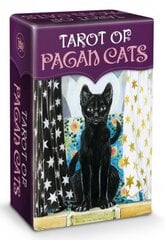 Карты Таро Tarot Of Pagan Cats цена и информация | Эзотерика | pigu.lt