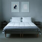 Fam' Home antklodė, 155x220 cm kaina ir informacija | Antklodės | pigu.lt