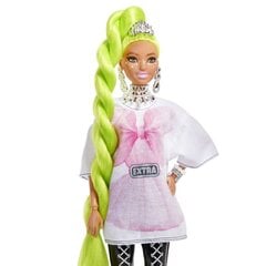 Lėlė Barbie Extra, HDJ44 kaina ir informacija | Žaislai mergaitėms | pigu.lt