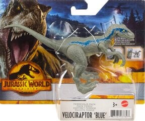 Атака динозавра Мир Юрского периода (Jurassic World), Velociraptor Blue, HDX18 цена и информация | Игрушки для мальчиков | pigu.lt